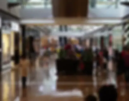 Marina Bay Sands photo 4