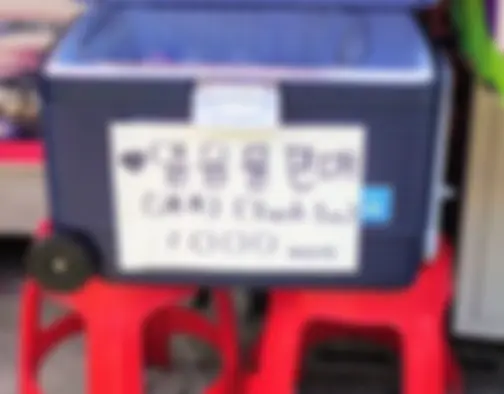 Dag 8 - Jagalchi Market, Gamcheon Culture Village, Dadaepo Beach - Busan photo 52