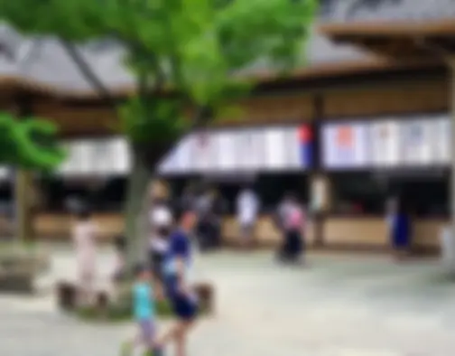 Dag 4 - Korean Folk Village, Hwasong Fortress - Suwon photo 15