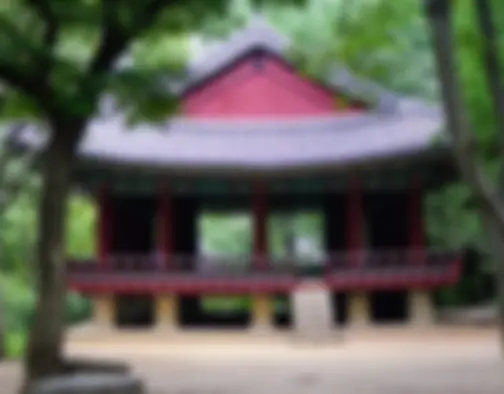 Dag 4 - Korean Folk Village, Hwasong Fortress - Suwon photo 7