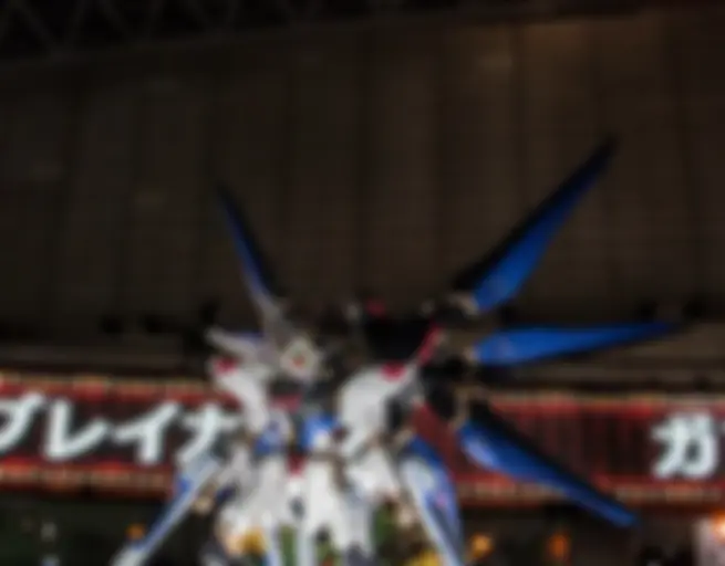 Day 6 & 7 - Tokyo Game Show 2014 photo 24