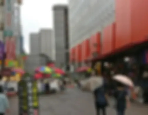 Dag 15 - Laatste dag - Seoul photo 1