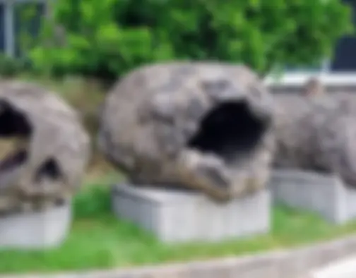 Dag 12 - Natural History Museum, Dongmun Market - Jeju Island photo 4