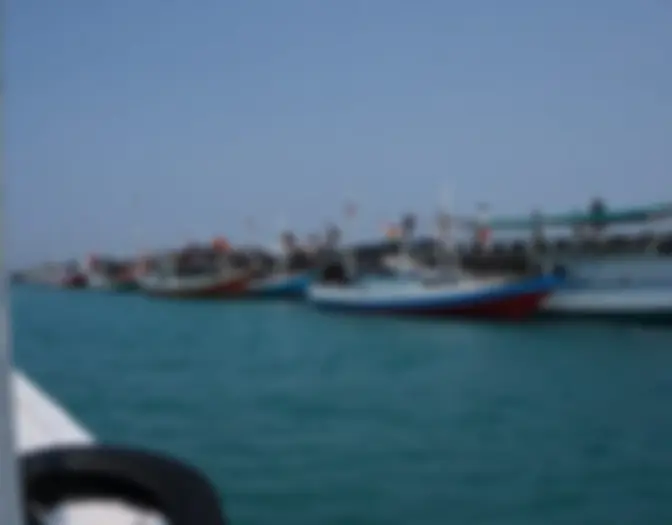 Day 7 - Snorkeling & BBQ, Karimun Jawa photo 1