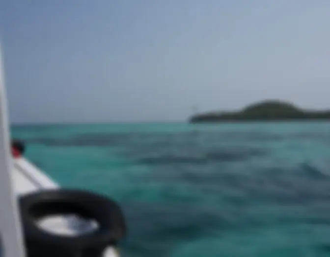 Day 7 - Snorkeling & BBQ, Karimun Jawa photo 2