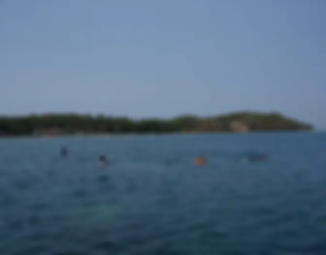 Day 7 - Snorkeling & BBQ, Karimun Jawa photo 5