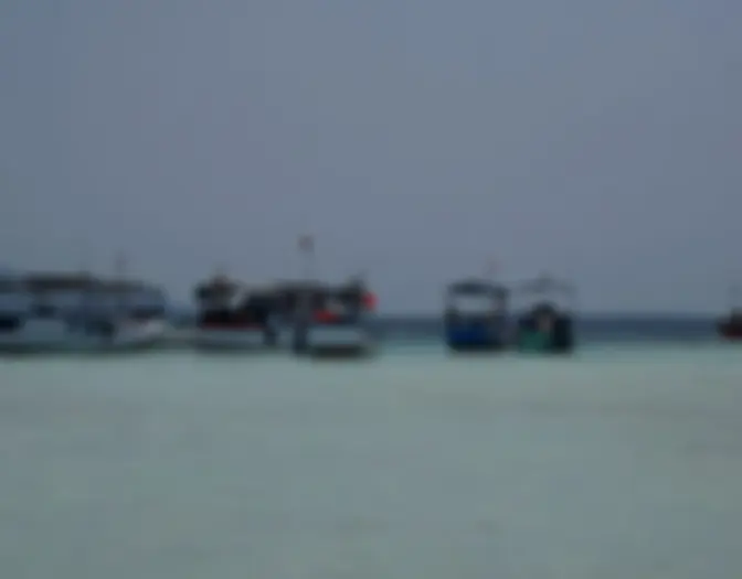 Day 7 - Snorkeling & BBQ, Karimun Jawa photo 8