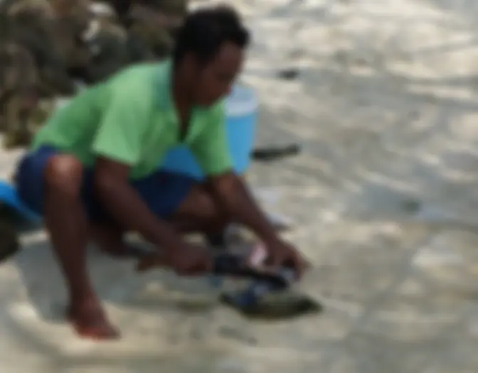 Day 7 - Snorkeling & BBQ, Karimun Jawa photo 9