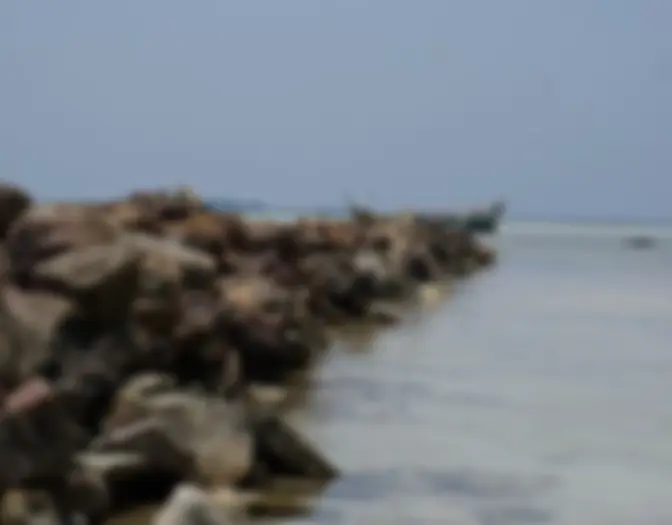 Day 7 - Snorkeling & BBQ, Karimun Jawa photo 12