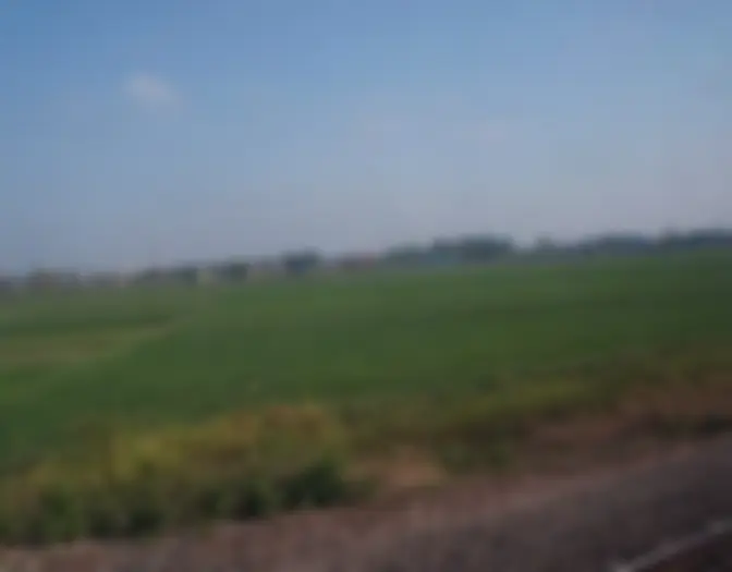 Day 10 - Train trip, East Java photo 5