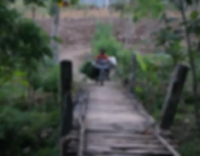 Day 11 - Penanjakan Viewpoint & Mt. Bromo, Probolinggo, East Java photo 27