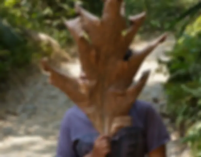 Day 12 - Meru Bitiri National Park, East Java photo 14
