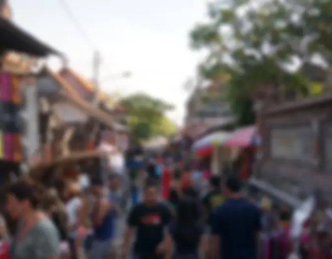Day 14 - Ubud, Bali photo 11