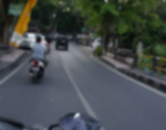Day 14 - Ubud, Bali photo 14