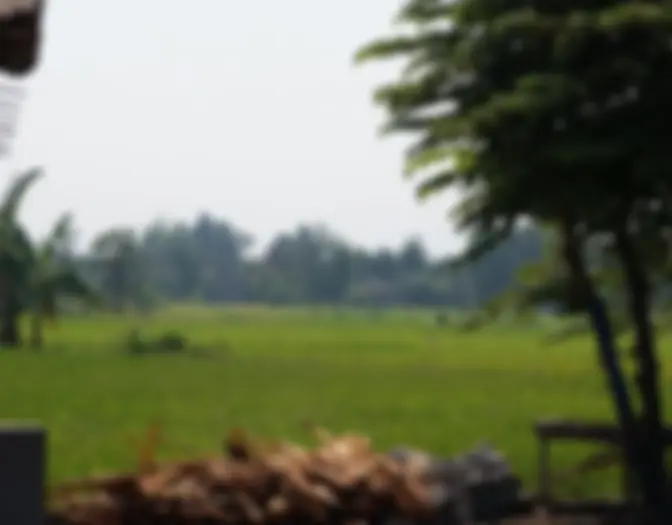 Day 4 - Bike Tour, Yogyakarta photo 2