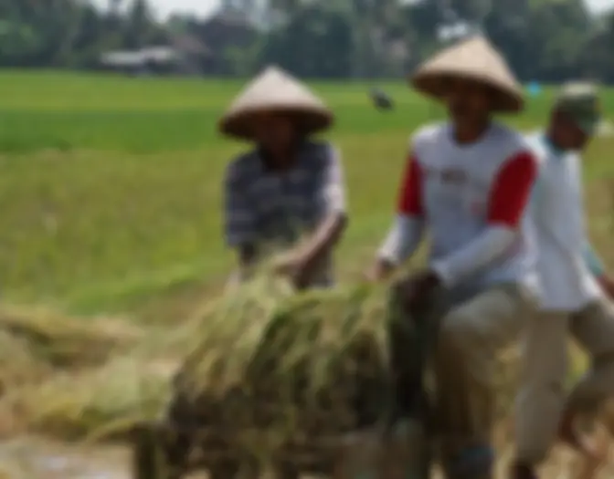 Day 4 - Bike Tour, Yogyakarta photo 6