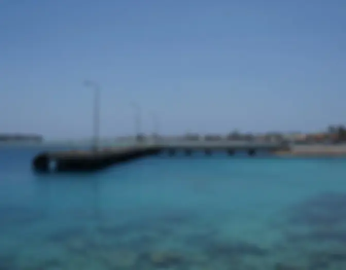 Day 6 - Chilling, Karimun Jawa photo 5