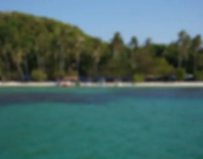 Day 6 - Chilling, Karimun Jawa photo 10