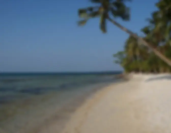 Day 6 - Chilling, Karimun Jawa photo 11
