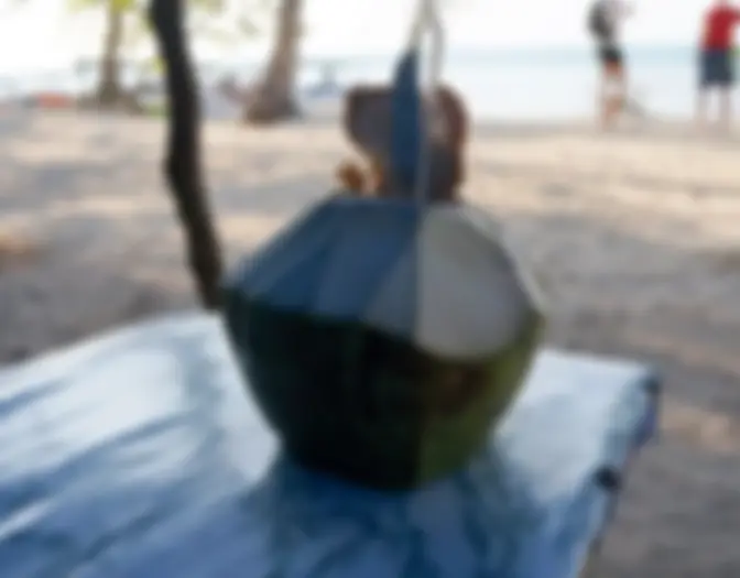 Day 6 - Chilling, Karimun Jawa photo 12