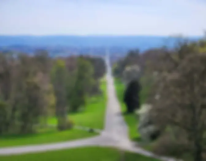Kassel photo 6
