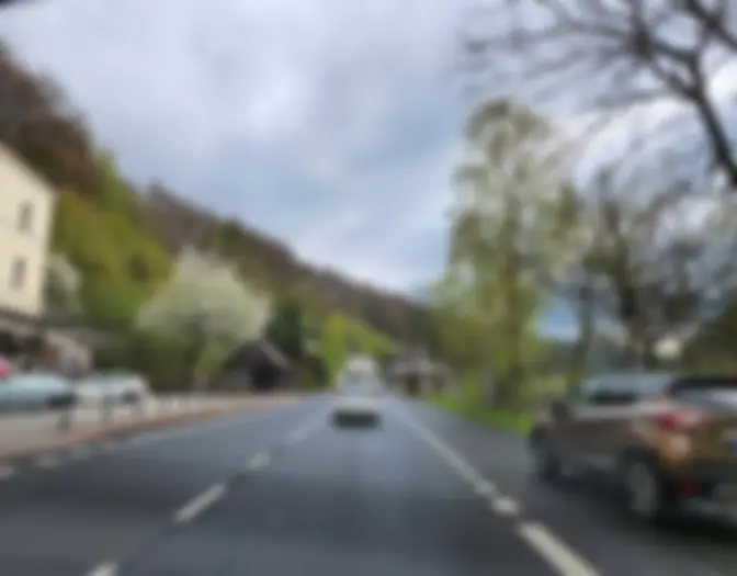 Růžová photo 1