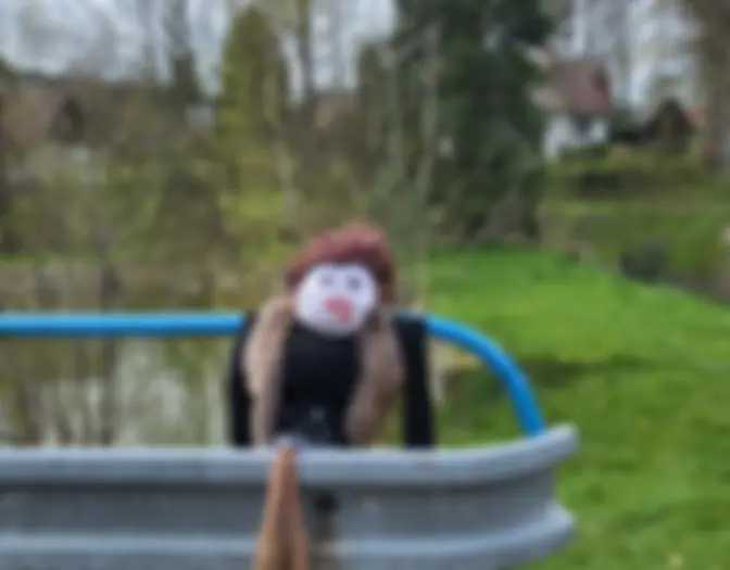 Růžová photo 4