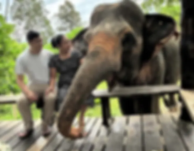 Bangkok, Chiang Mai, Krabi photo 10