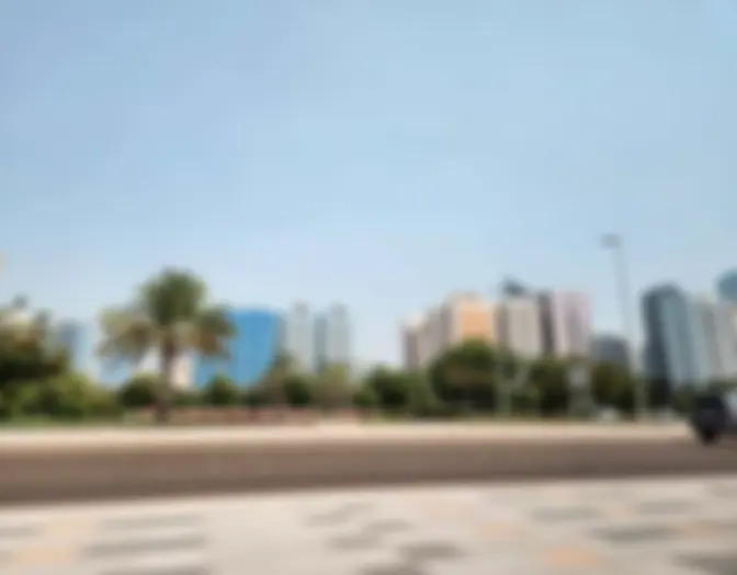 Abu Dhabi, Dubai photo 3